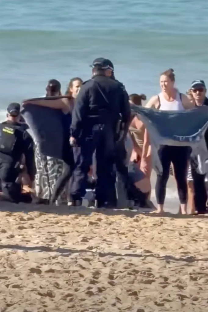 Rescuers trying to save shark attack victim Leah Stewart on Coogee beach