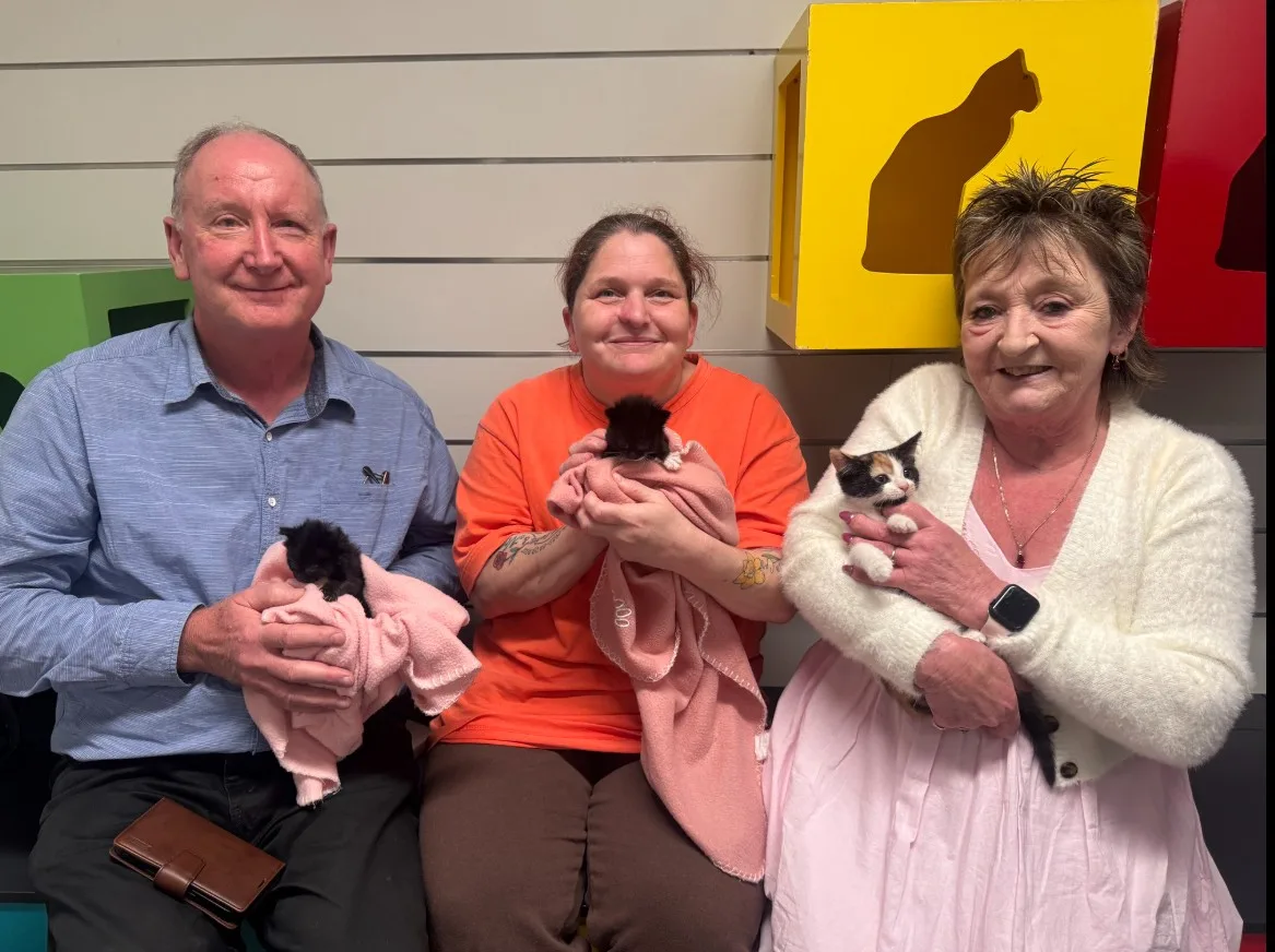 deb hargraves and family with kittens