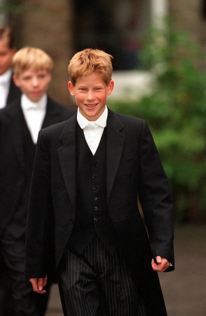 Prince Harry school