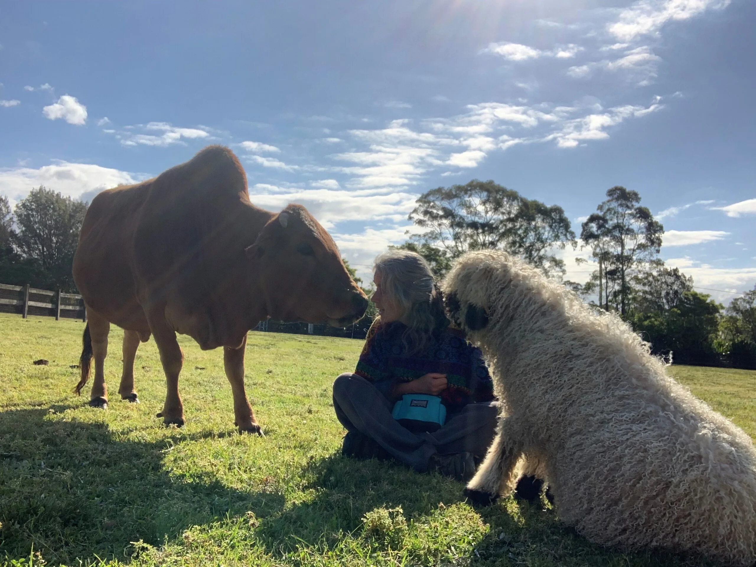 Noeline Cassettari with animals