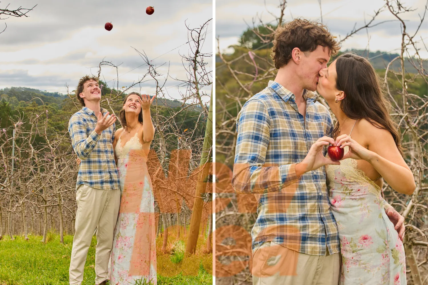 Farmer Zac Maya Farmer Wants A Wife 