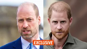 Why Harry and Meghan’s “quasi-royal” walkabout was the “final straw” for William