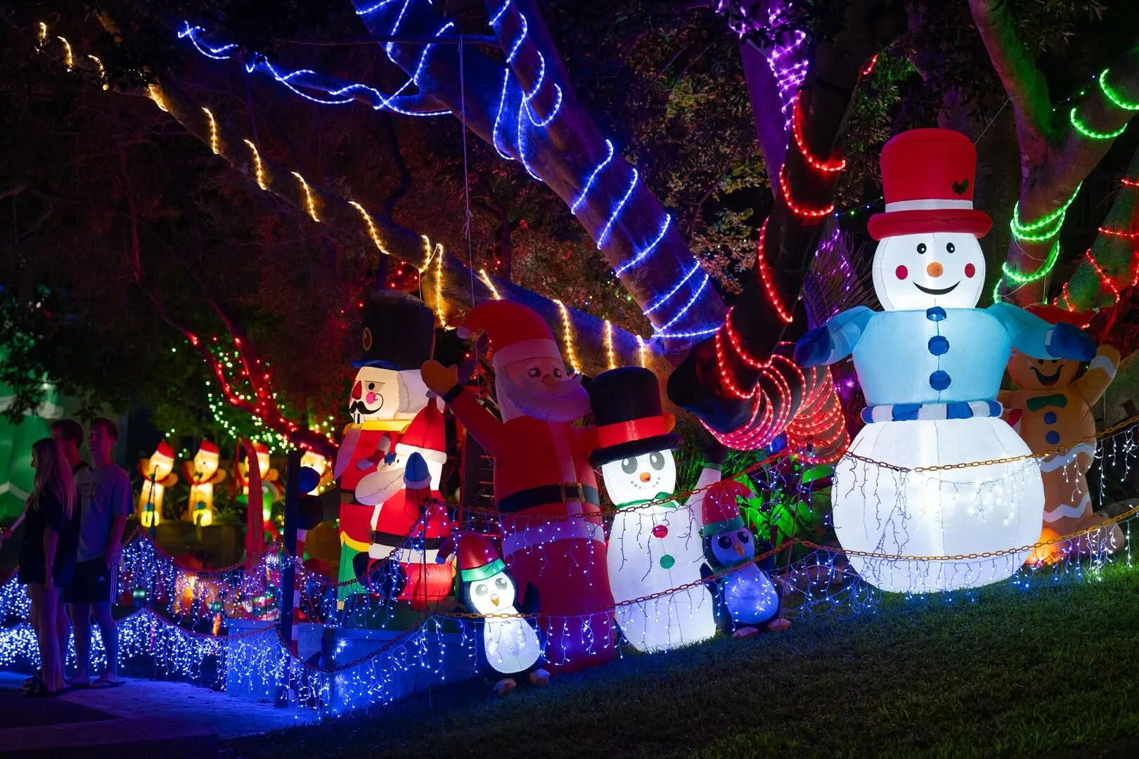 borgnis street christmas lights