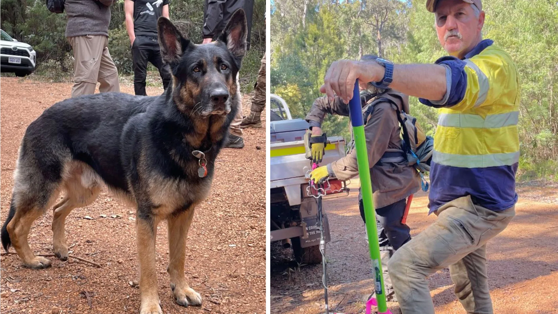 Search dog and Matt Strickland during the Northcliffe search