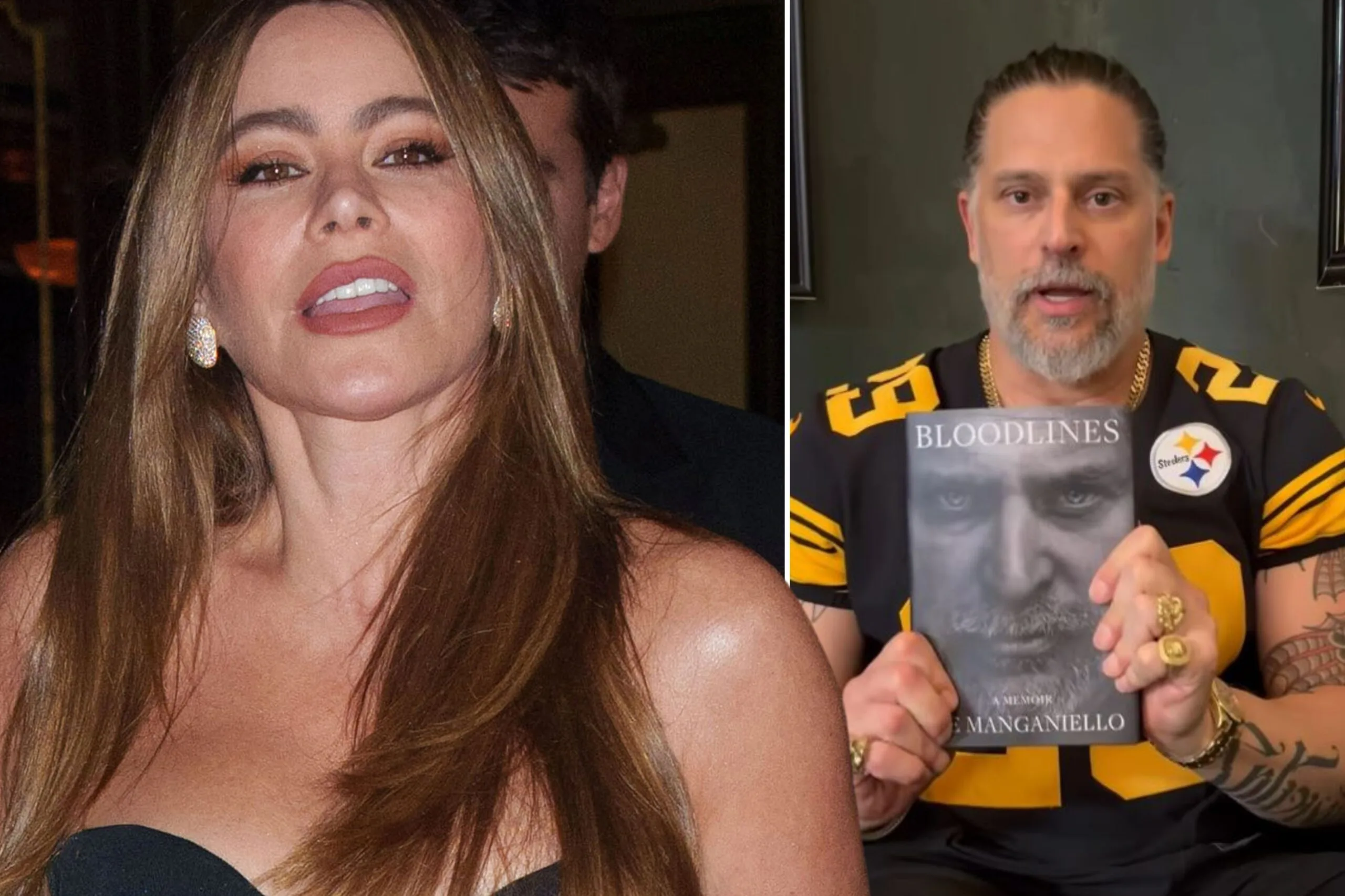 Sofia Vergara Joe Manganiello