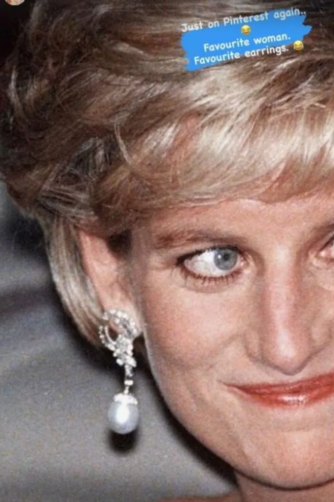 princess diana sam armytage