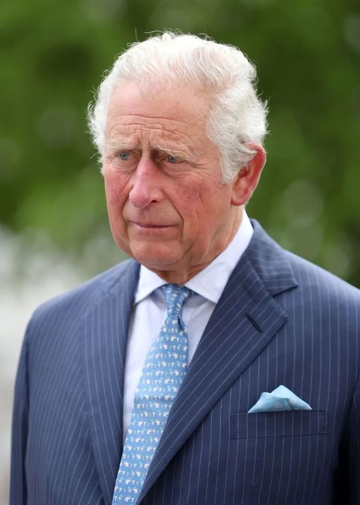 prince charles after prince philip