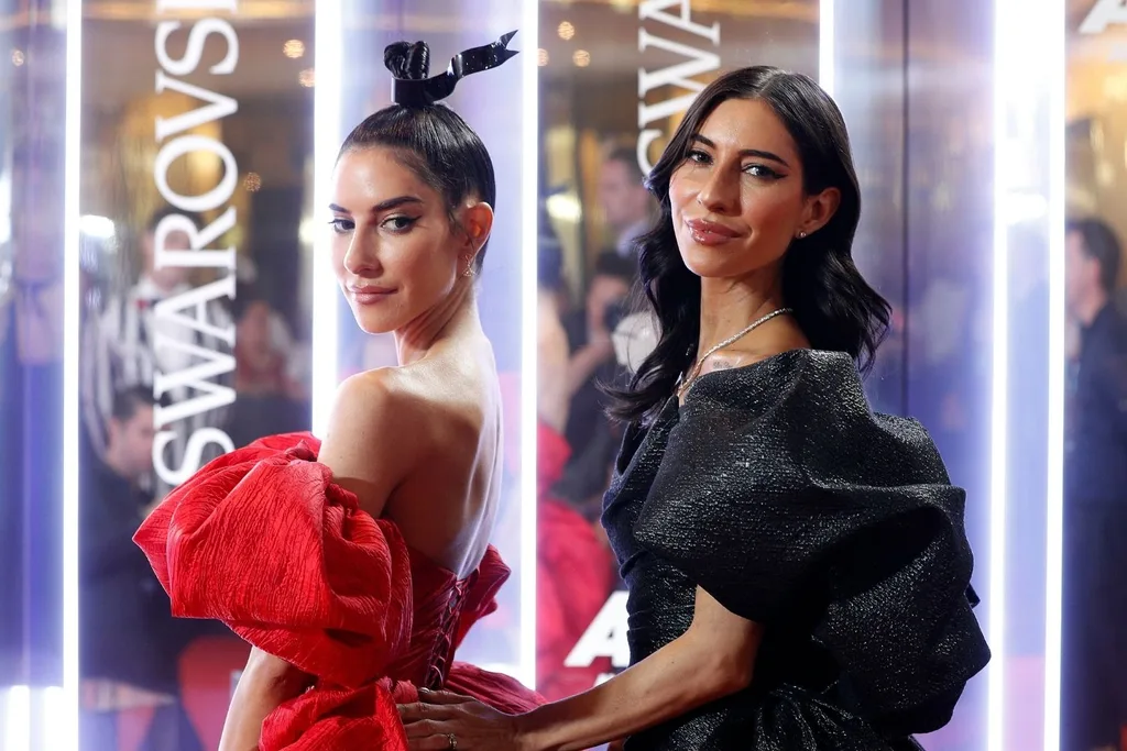 the veronicas