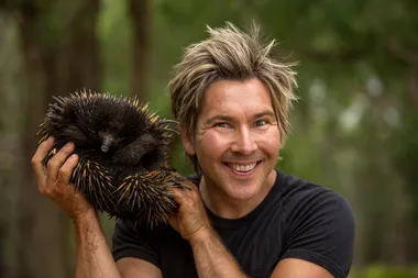 Chris Humfrey’s Animal Instinct