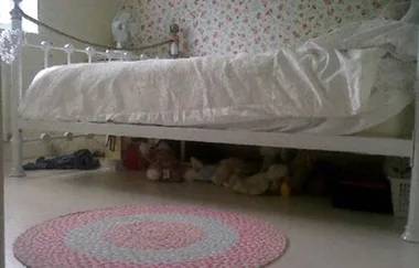Can you see the cat hidden in this picture?