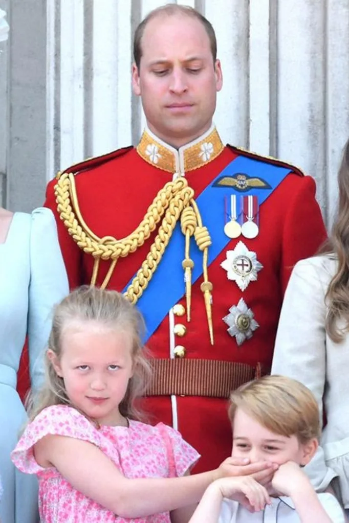 prince-william-savannah