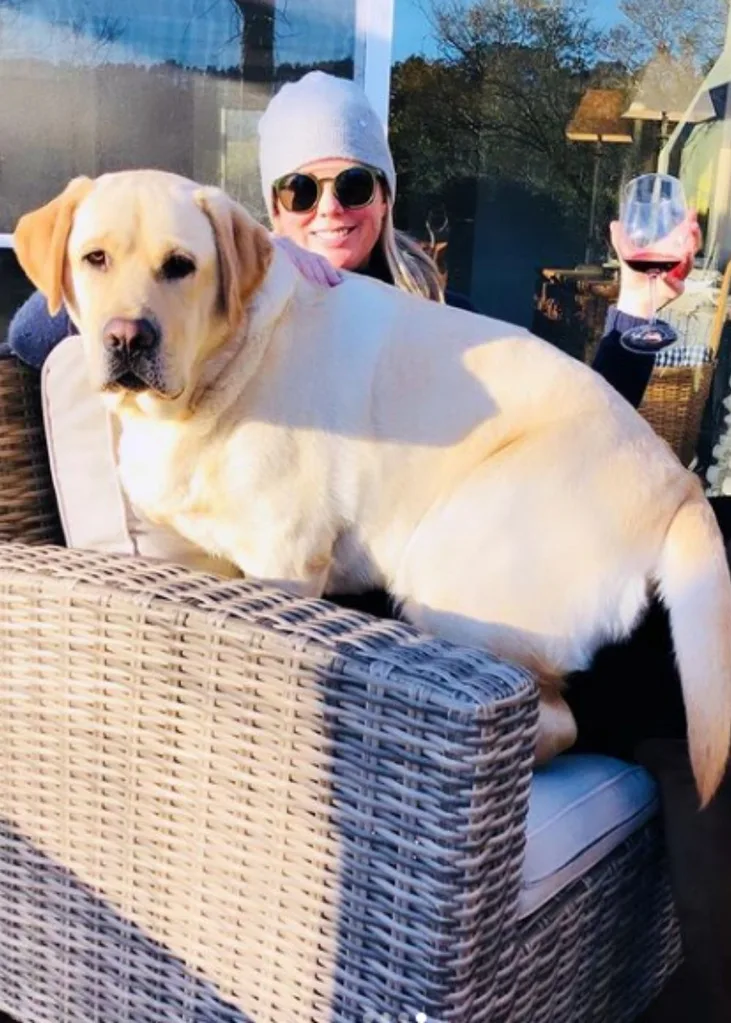Sam Armytage sunrise dog