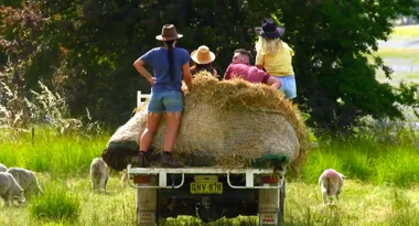 The premiere date for Farmer Wants A Wife’s new season REVEALED!