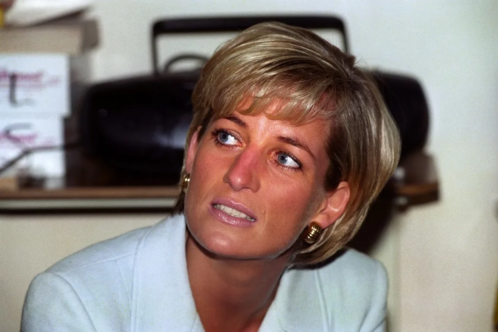 princess diana royals charity