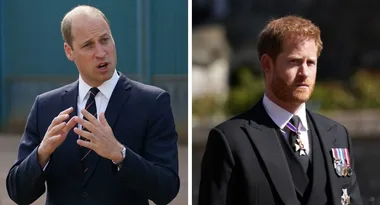 Harry and Wills’ EXPLOSIVE FIGHT