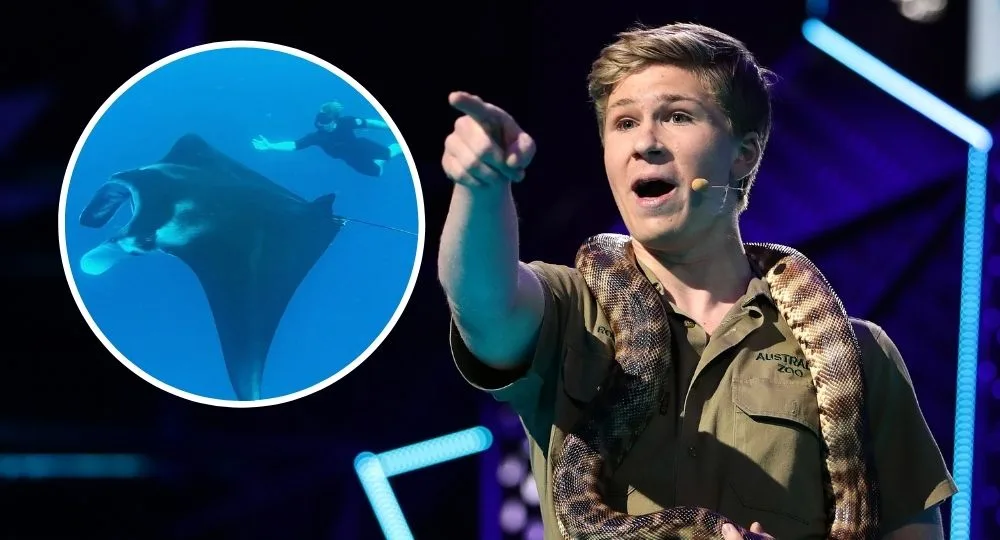 Robert Irwin TERRIFIES fans after incident with manta ray