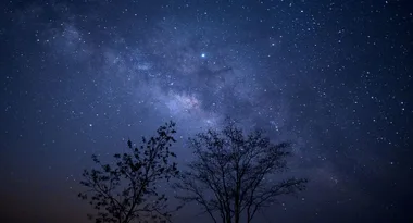 What is the best star sign? The answer may surprise you