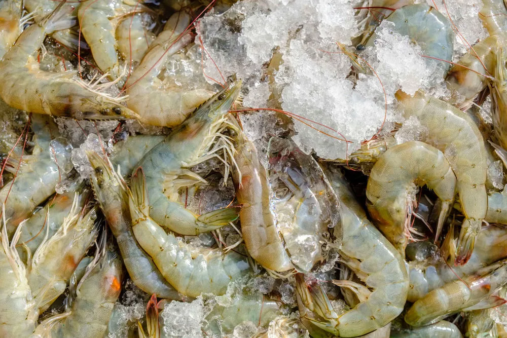 How Long Do Cooked Prawns Last in the Fridge? New Idea
