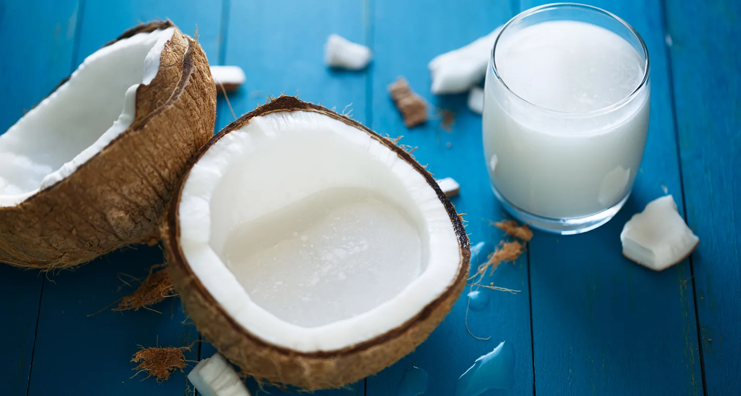 8 of the best substitutes for coconut milk