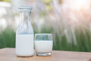 Lose 10kg fast: How the $2-a-day milk diet is taking the world by storm