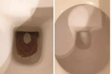 ‘So simple!’ The miracle Bunnings hack to remove those black stains from your toilet