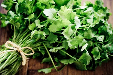 What is Cilantro in Australia & Is It the Same as Coriander?