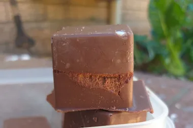 Ice Cube Tray MILO BARS – the hot new baking hack you need to know about!
