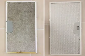 Expert: You should always put your kitchen rangehood filters in the dishwasher. Always.