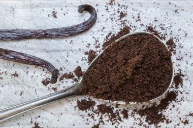 What is vanilla bean powder?