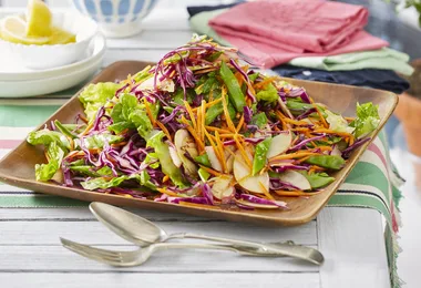 red cabbage, lettuce and apple salad