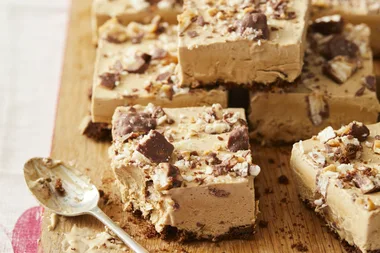 4-Ingredient Picnic Ice-Cream Slice