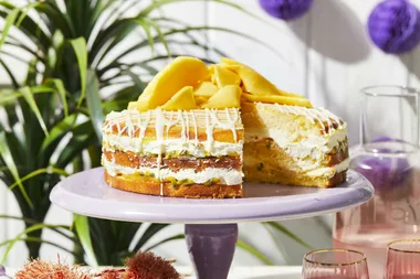 Passionfruit and Mango Fridge Cake