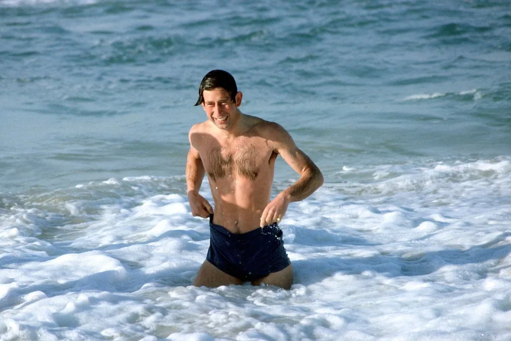 prince charles bondi