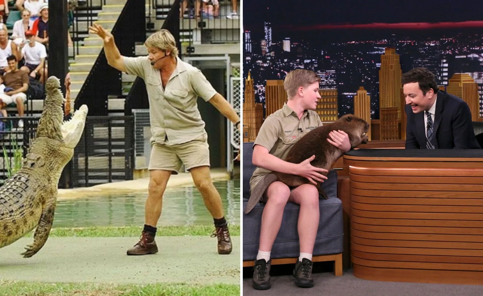 Remembering Steve Irwin 15 years on