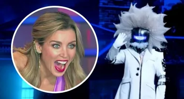 Who is Professor? All the Masked Singer clues