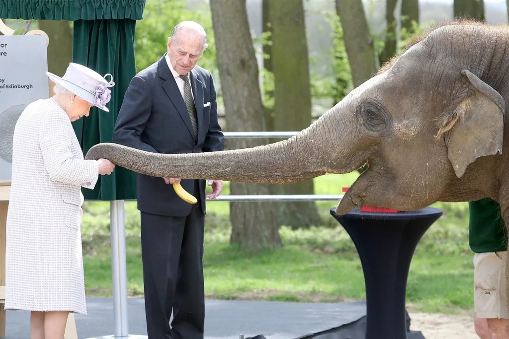 queen-elizabeth-prince-philip-elephant