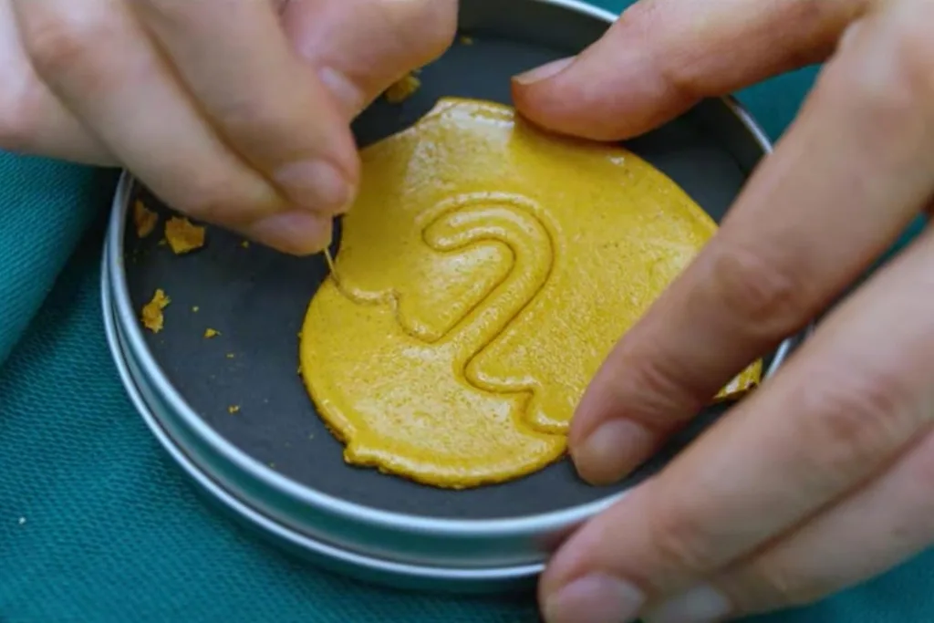 squid games honeycomb