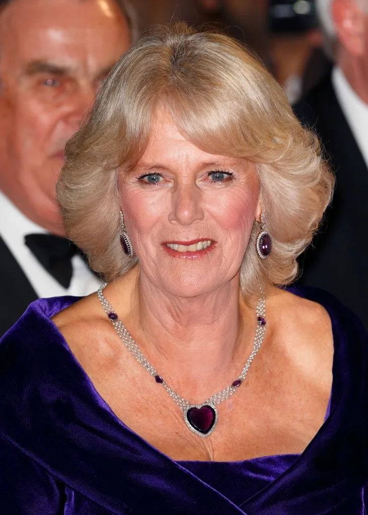 camilla-amethyst-heart-necklace