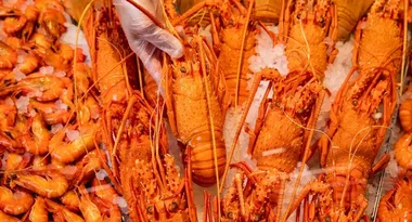 Enjoy a luxury delicacy over Easter with $22 lobsters