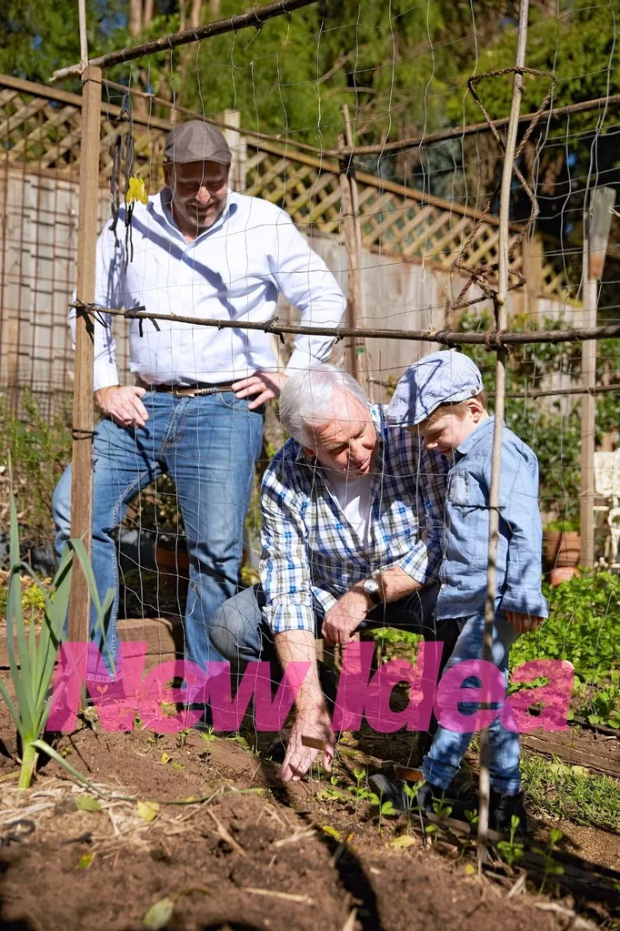 graham ross gardening