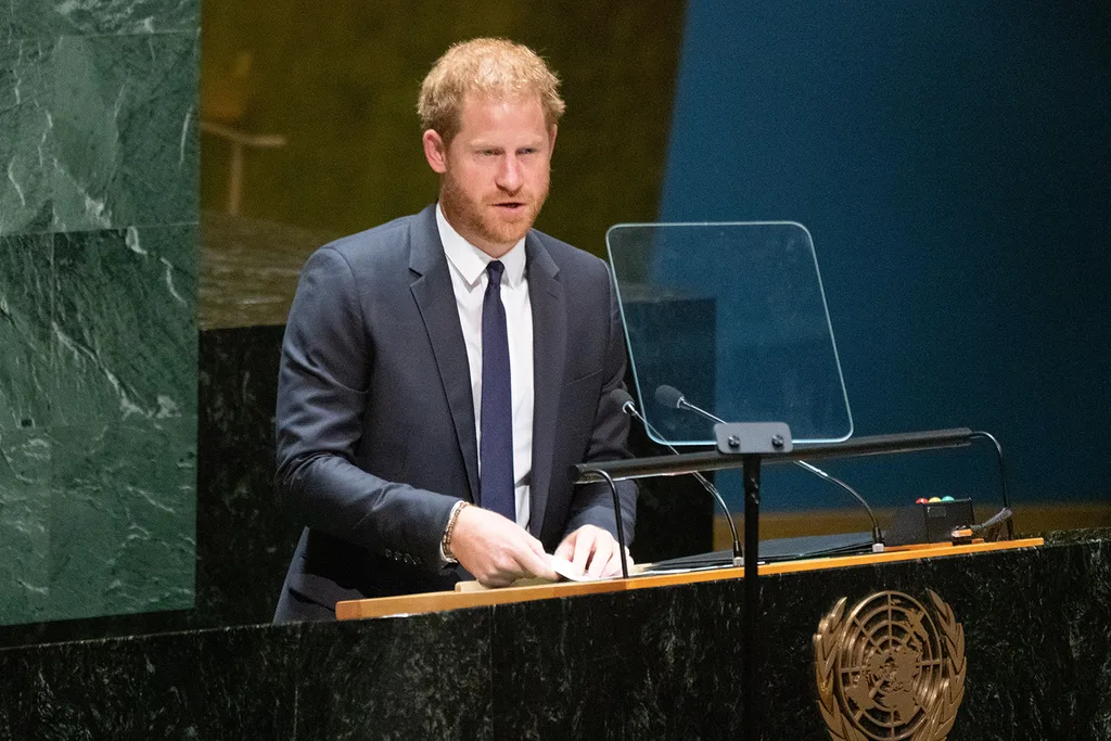 prince-harry-un