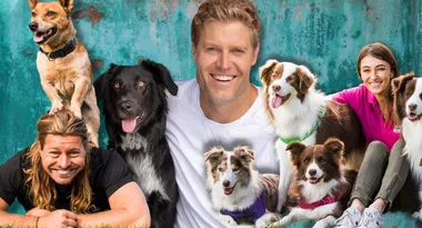 Pawsome news! Dr Chris Brown to host southern hemisphere’s largest dog event