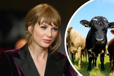 How fans can offset Taylor Swift’s private jet carbon emissions
