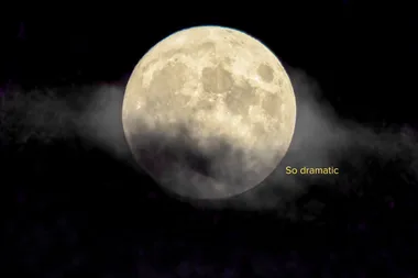 The 4 zodiac signs that need to watch out for tonight’s Sturgeon moon