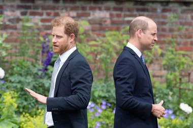 Why Harry won’t reunite with William next month despite living 800m apart