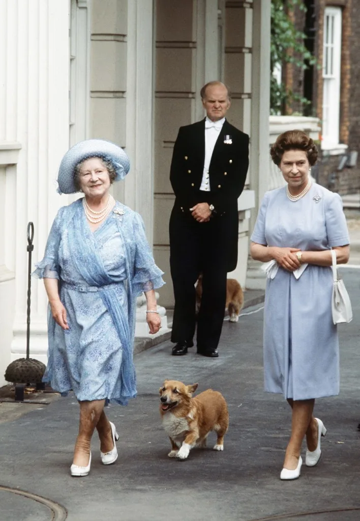 queen-corgis