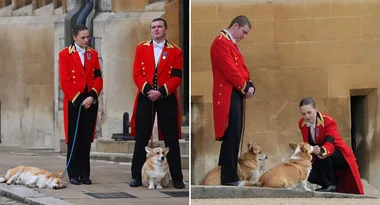 Queen’s beloved corgis bid final farewell at Her Majesty’s funeral