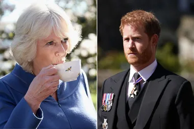 Prince Harry’s act that made Camilla “spit her tea out”