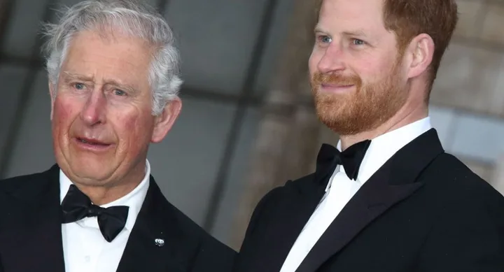Prince Harry and King Charles III have a famously strained relationship.