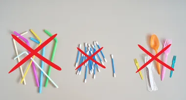 What you need to know about the single-use plastic ban